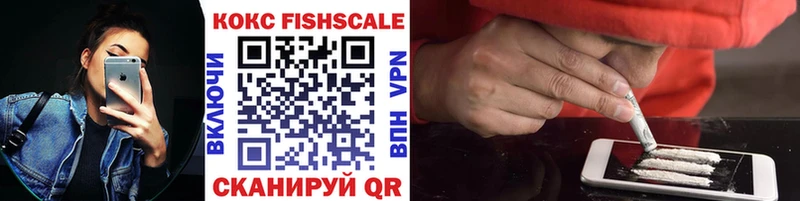 купить наркотики сайты  МЕГА онион  Cocaine Fish Scale  Бикин 