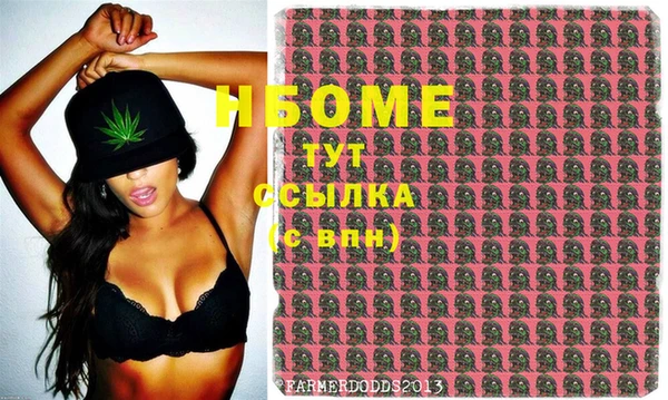 крисы Баксан