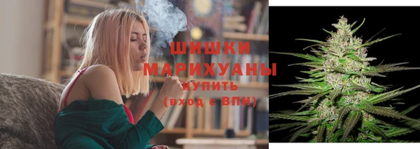 крисы Баксан
