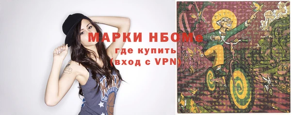 крисы Баксан