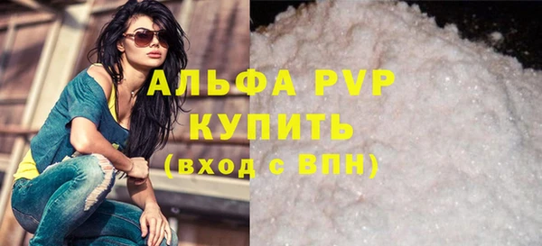 крисы Баксан